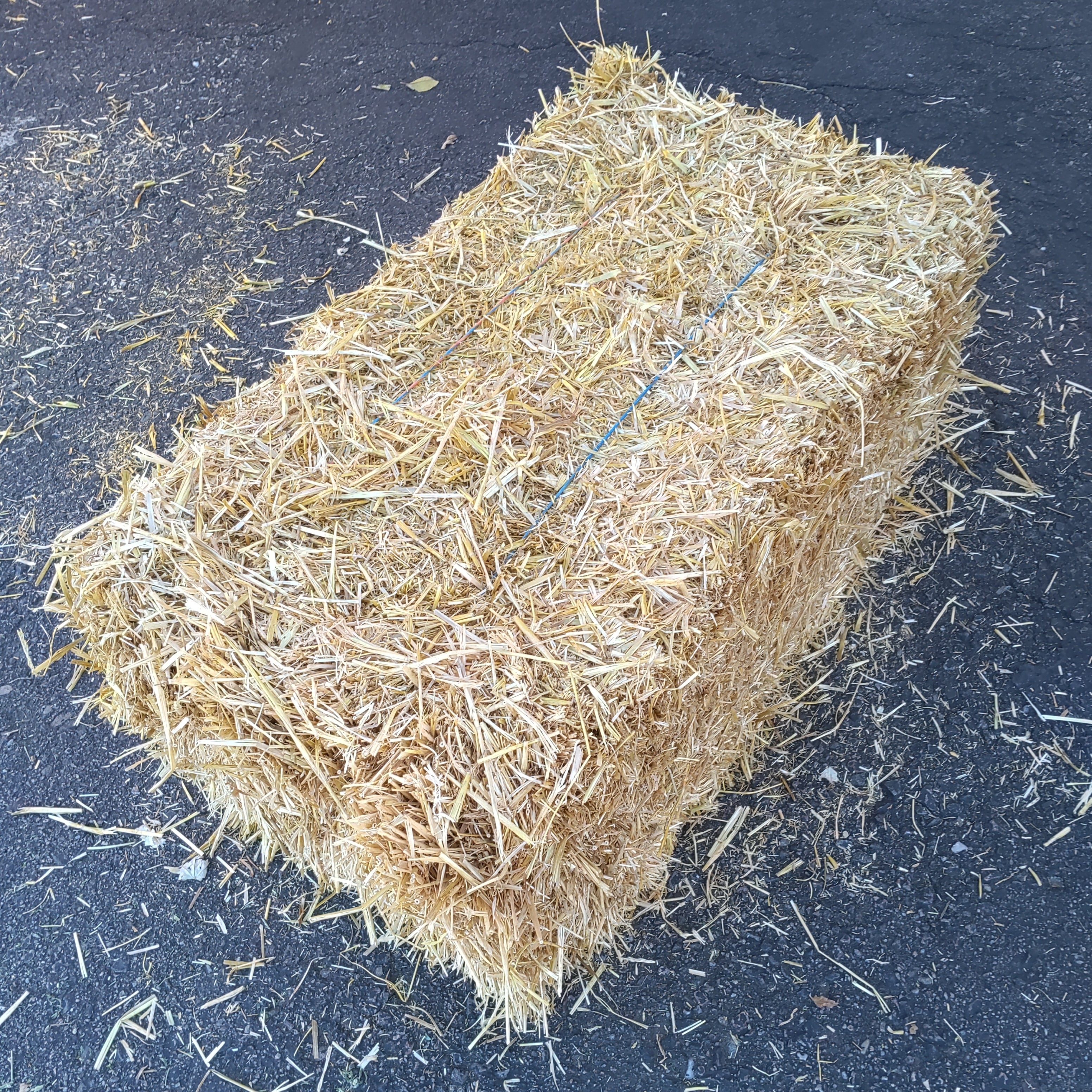 Certified Weed-Free Straw Bale – 2 String Clean Bedding and Erosion ...