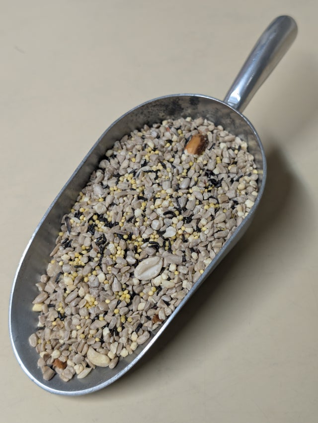 Wild Bird Seed & Supplies in Lakewood, Colorado | Curve Feed & Pet