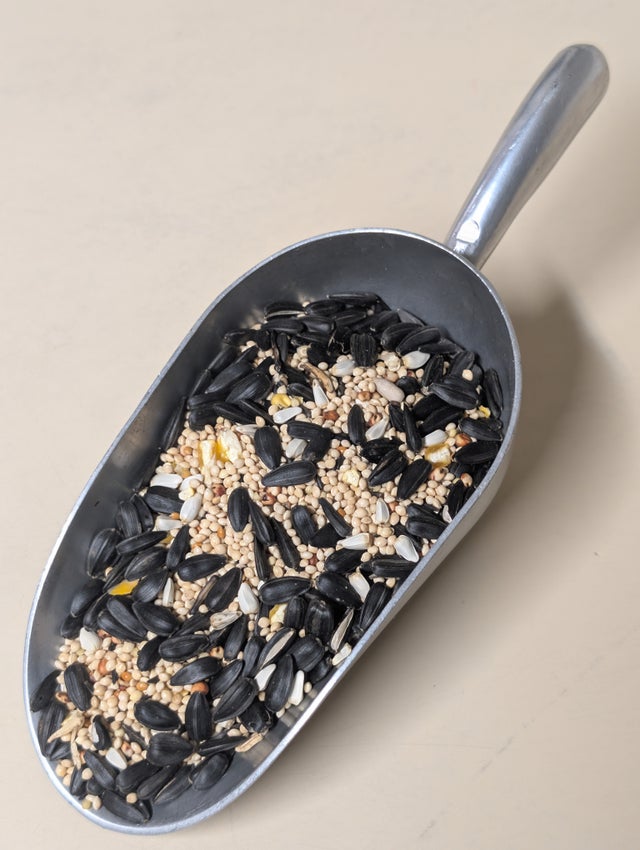 Wild Bird Seed & Supplies in Lakewood, Colorado | Curve Feed & Pet